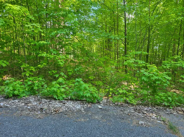 LOT 27 Cubs Way, Vanderbilt, MI 49795