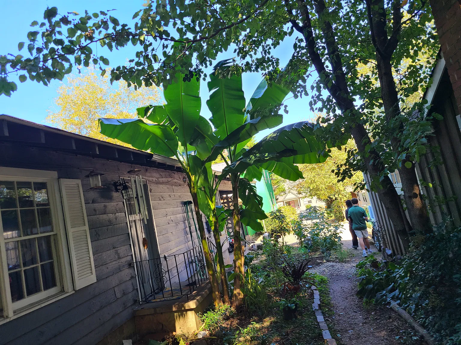 185 Nantahala Avenue — Photo 3