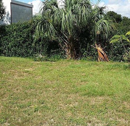 3rd image of 1924 Cornelia Dr