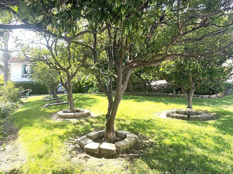 fruit orchard is right next to the house offering privacy and bird watching