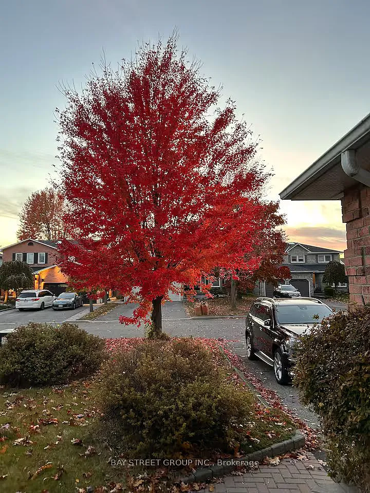 4 bed, $3,300 — Photo 4