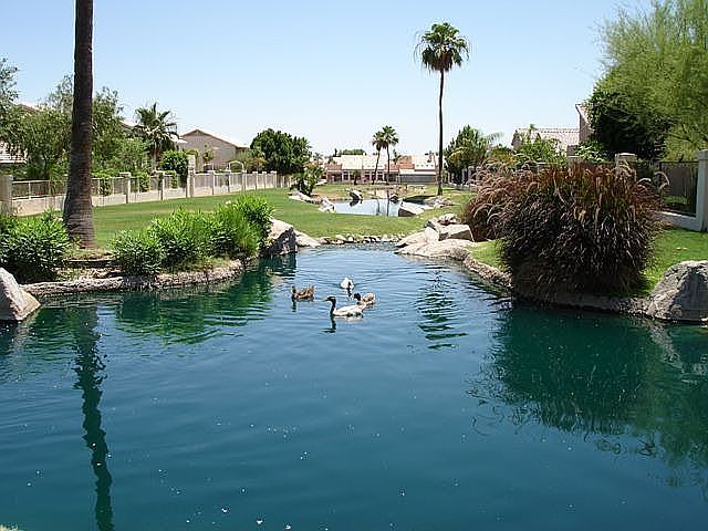 Stream Bed Behind Home