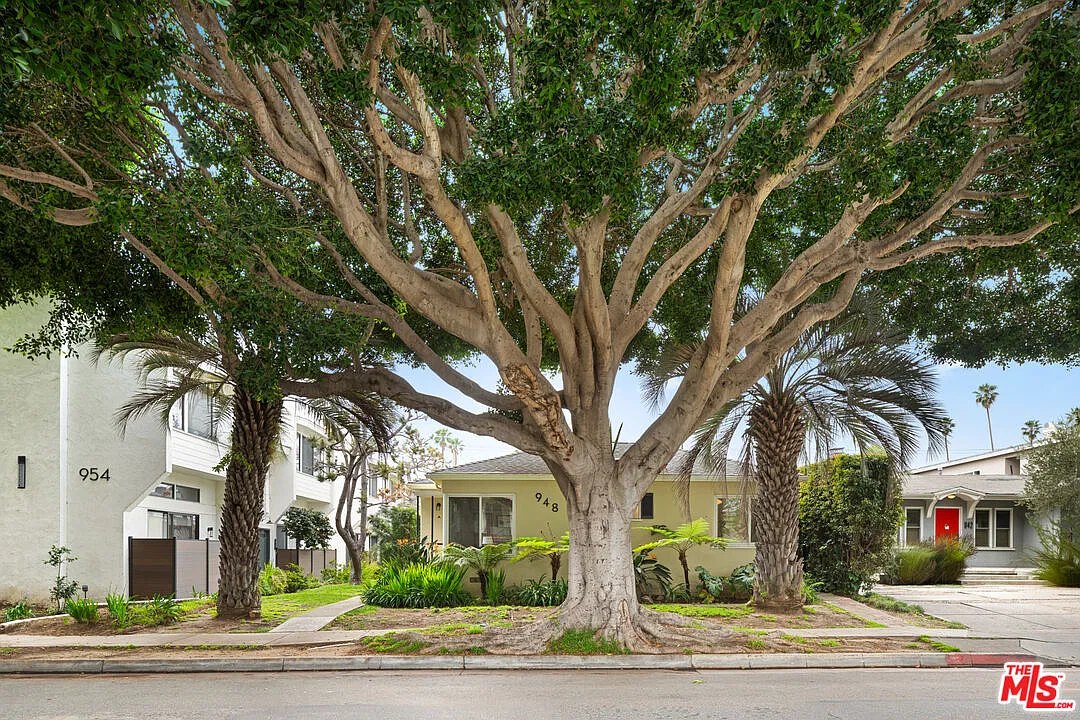 1 bed, 1.0 bath, 666 sqft, $3,350 — Photo 3