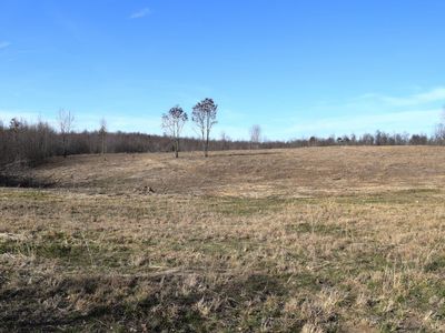 0 Horse Hollow Rd, South Shore, KY, 41175