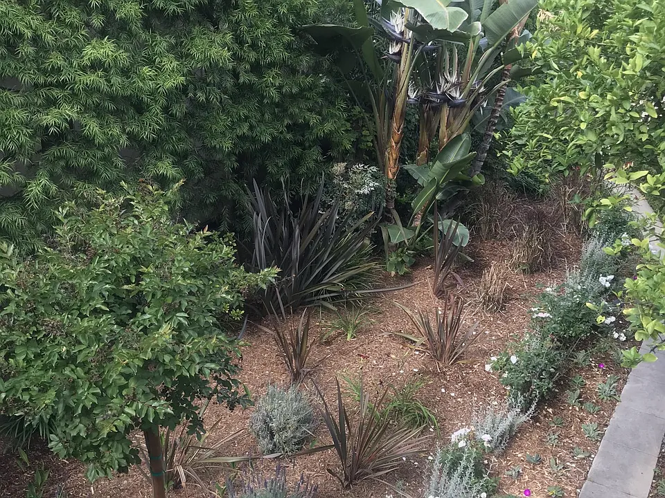 Gardens