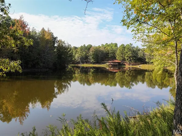 1081 County Road 356, Piggott, AR 72454