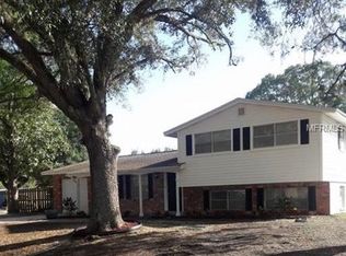 407 Elm Tree Ln, Brandon, FL 33510