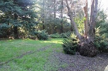 2nd image of 49 Creek Ct