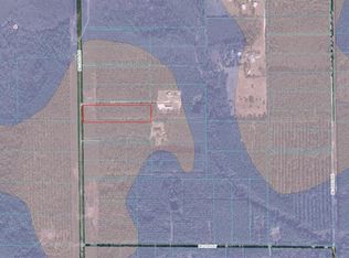 21781 NE 125th Ave, Fort Mc Coy, FL 32134