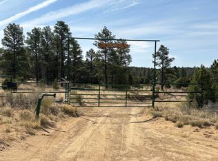 994 Wild Horse Ranch Rd, Pie Town, NM 87827