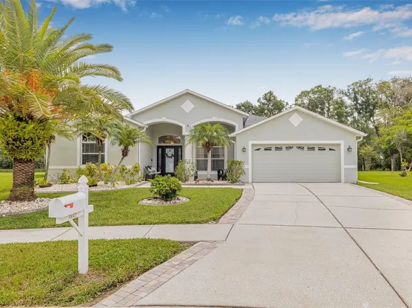 3842 Austin Range Dr, Land O Lakes, FL 34639