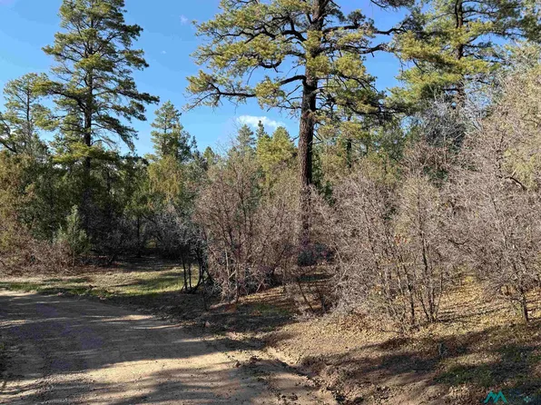 0 Private Drive 1781a Rd, Chama, NM 87520