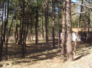 2782 Gold Dust Trl, Show Low, AZ 85901