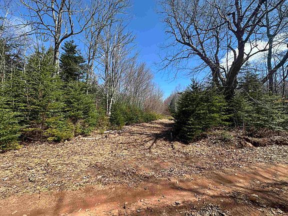 2nd image of Settlement Rd