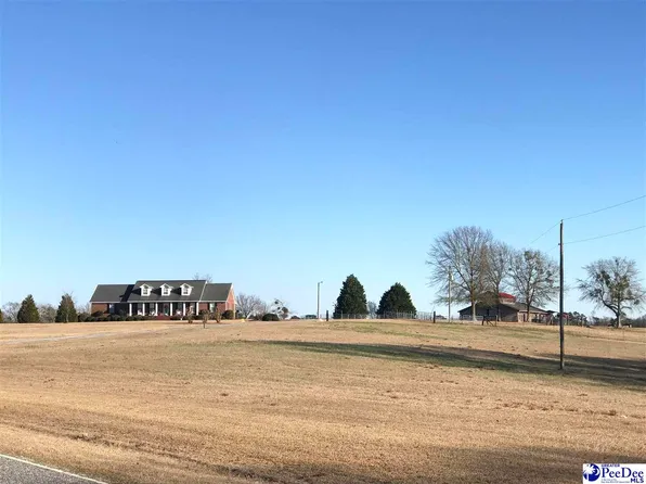 2461 Antioch Rd, Hartsville, SC 29550