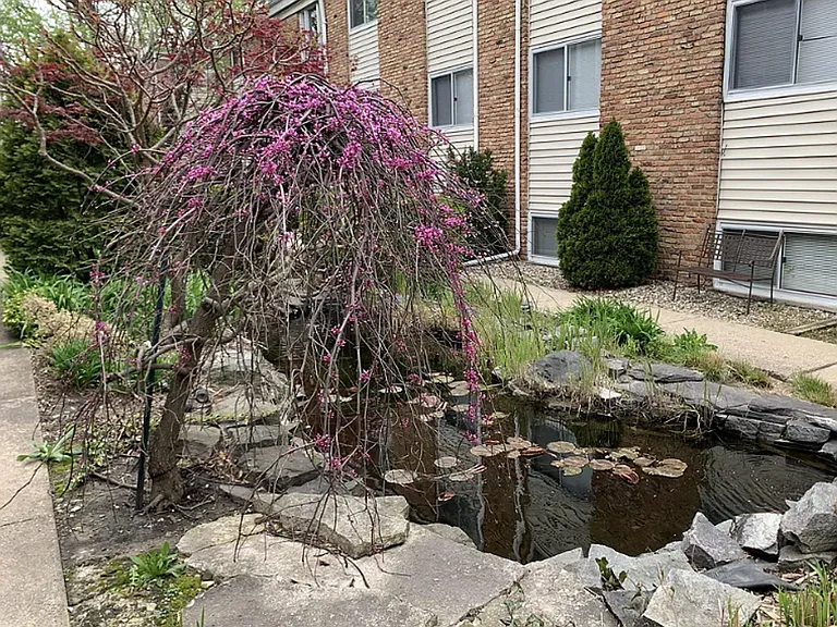 1021 Francis Dr — Photo 1