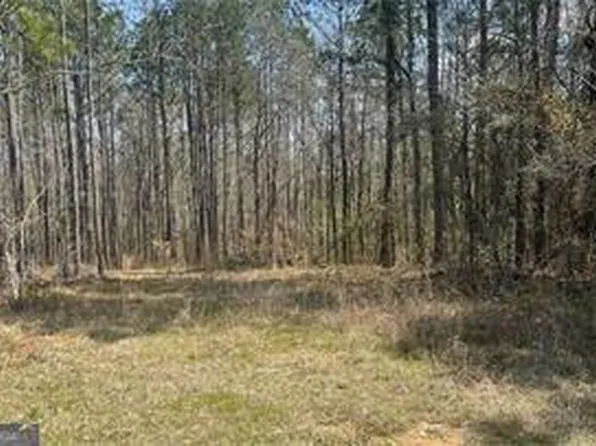909 Beasley Rd, Roberta, GA 31078