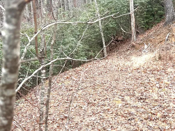 0 Sawyer Dr, Bryson City, NC 28713