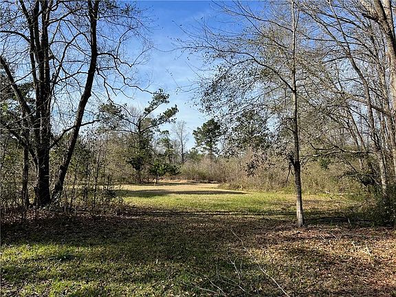 5th image of W Yellow Water Rd