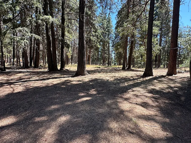 18406 Freight Road Ln — Photo 5