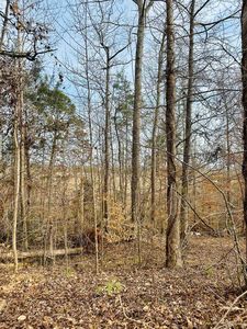 531 Scenic Oak Dr, Moore, SC, 29369