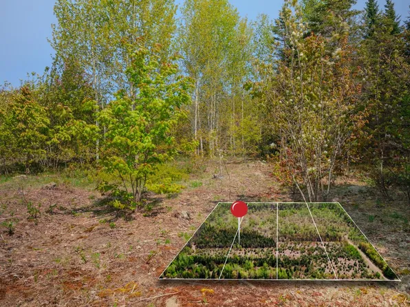 LOT 2 W Pendills Lake Rd, Brimley, MI 49715