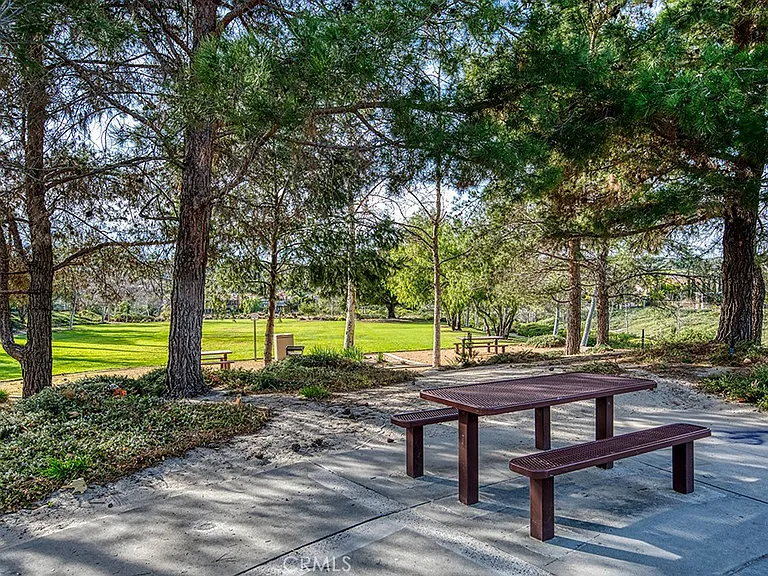 6 Coffeeberry Ct — Photo 42