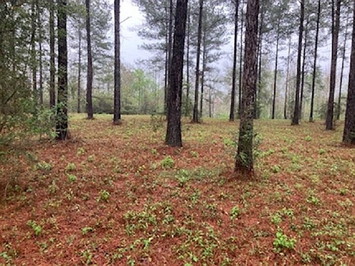 LOT 30 Harbor Rd, Andalusia, AL 36421 MLS 23157 Zillow