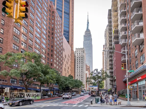 340 East 29th Street image 7 of 9