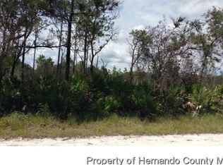 Yellowlegs Ave, Weeki wachee, FL 34614