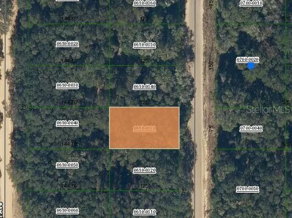 Annette Avenue Lot #33, Interlachen, FL 32148
