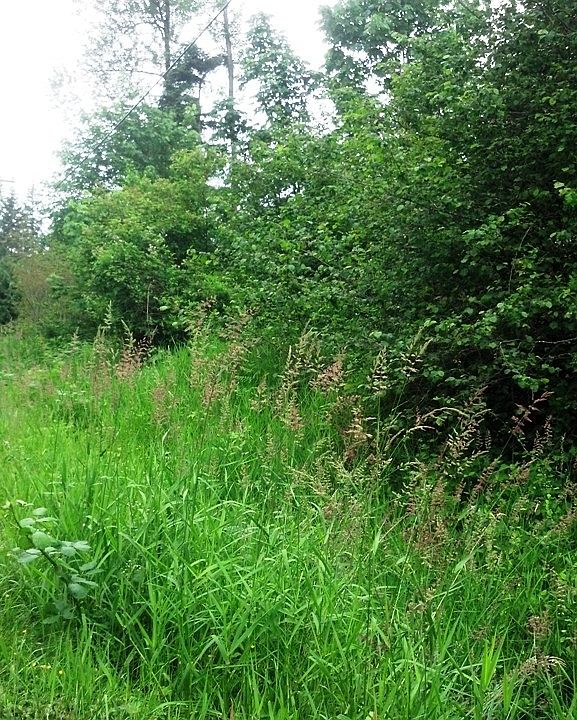 1st image of 13 lot 161st Avenue SE