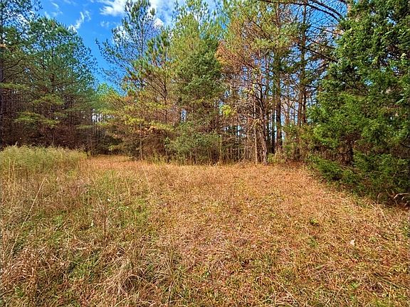 5th image of 3808 State Highway 58