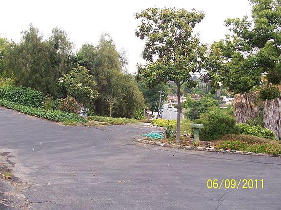fulley fenced and gated long front driveway