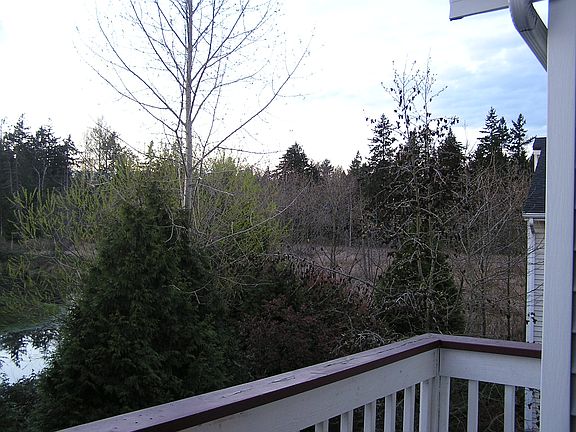 View from deck