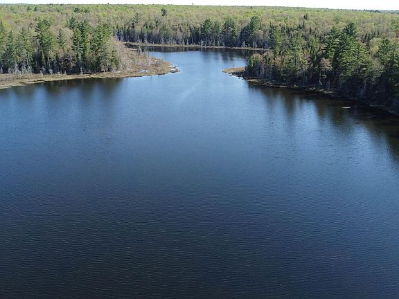5th image of On Tahquamenon Truck Trail Rd