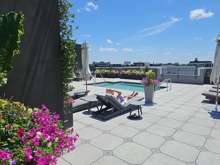 5 Gadsdenboro St #216 — Photo 29