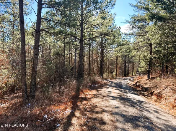 2A Redman Ridge Ln, Decatur, TN 37322