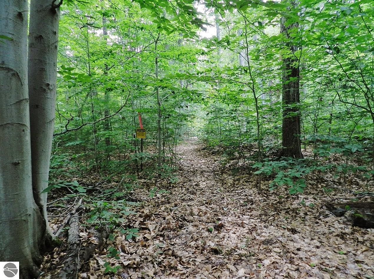 0 Duck Lake Dam Rd, Grawn, MI 49637 MLS 1913866 Zillow