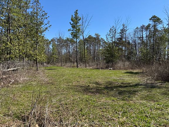 2nd image of 6192 County Road 50