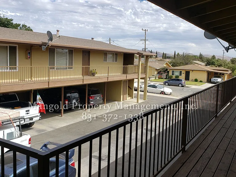 255four — Photo 10