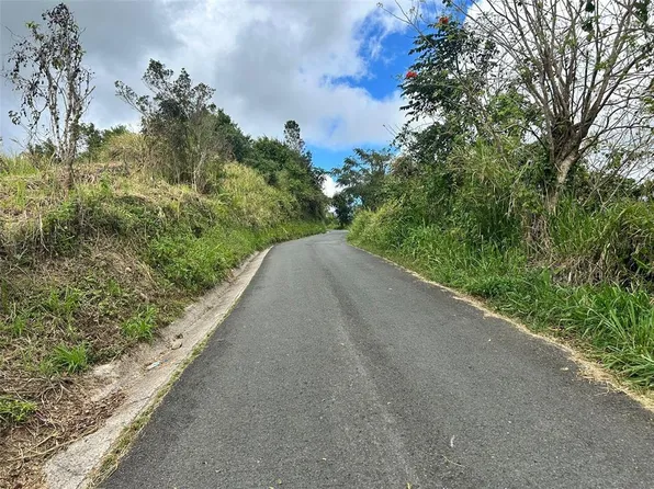 Carr 723 2.3 #Int, Aibonito, PR 00705