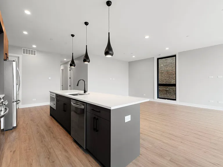 1718 S Halsted St #301 — Photo 10