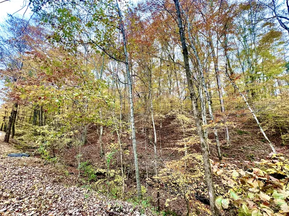 0 W Garretts Creek Rd, Westmoreland, TN 37186