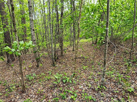 3rd image of 23 S Cross Creek Trl