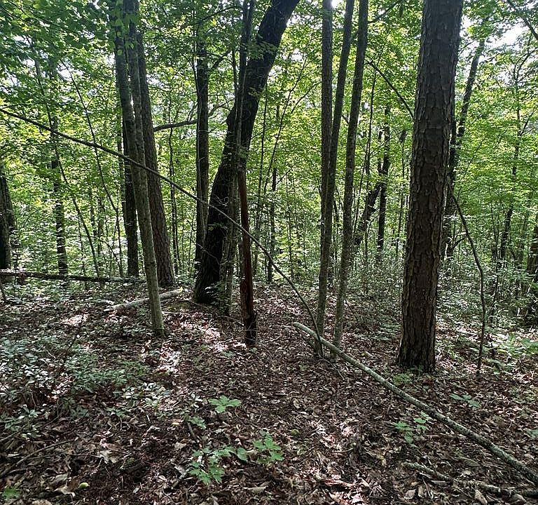 1st image of LOT 371 E Obey Ln