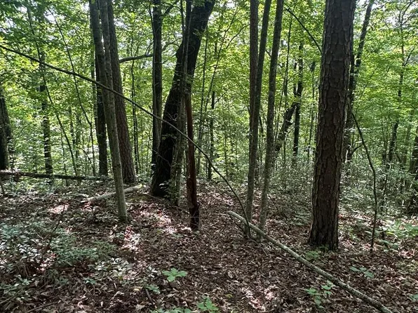 LOT 371 E Obey Ln, Wilder, TN 38589