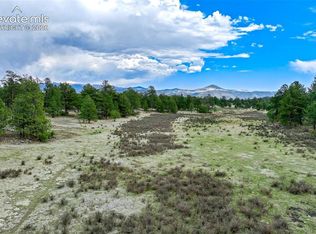 103 Doe Valley Rd, Guffey, CO 80820