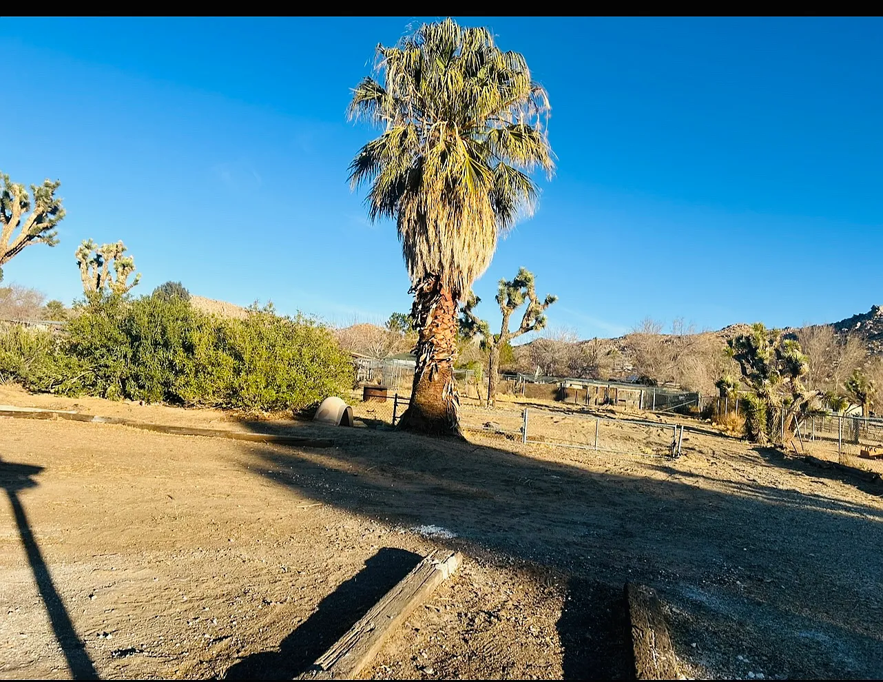 Wells Fargo Ave, Lake Los Angeles — Photo 2