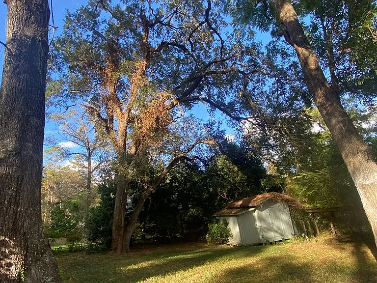 2516 McArthur St — Photo 29